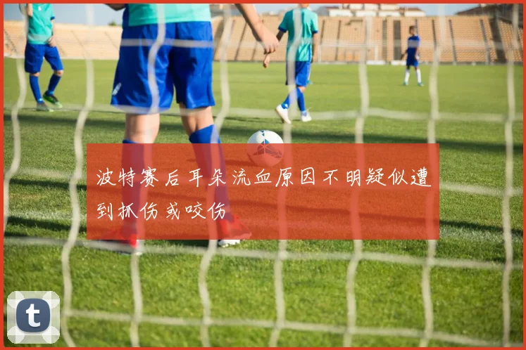 波特赛后耳朵流血原因不明疑似遭到抓伤或咬伤